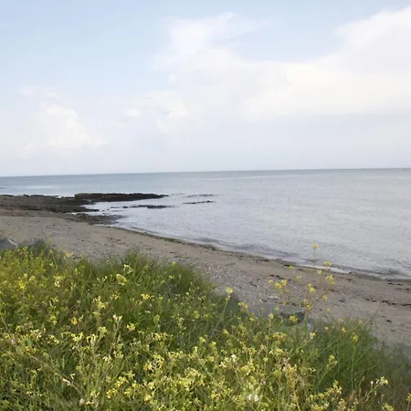 T3 Pres Plage, Parking, Animaux Admis, 4 Personnes - Fr-1-775-23